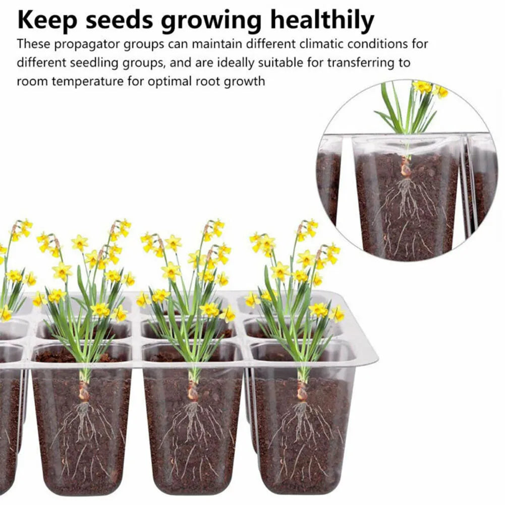 4Pcs Mini Greenhouse 12 Compartments Indoor Greenhouse Propagation Greenhouse Nursery Box With Air Vent