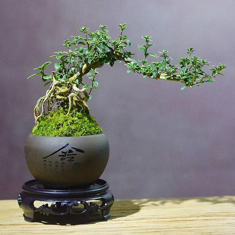 Garden Supplies Plastic Flower Pot Base Suitable For Various Types Of Flower Pots Vases Antique Decorations