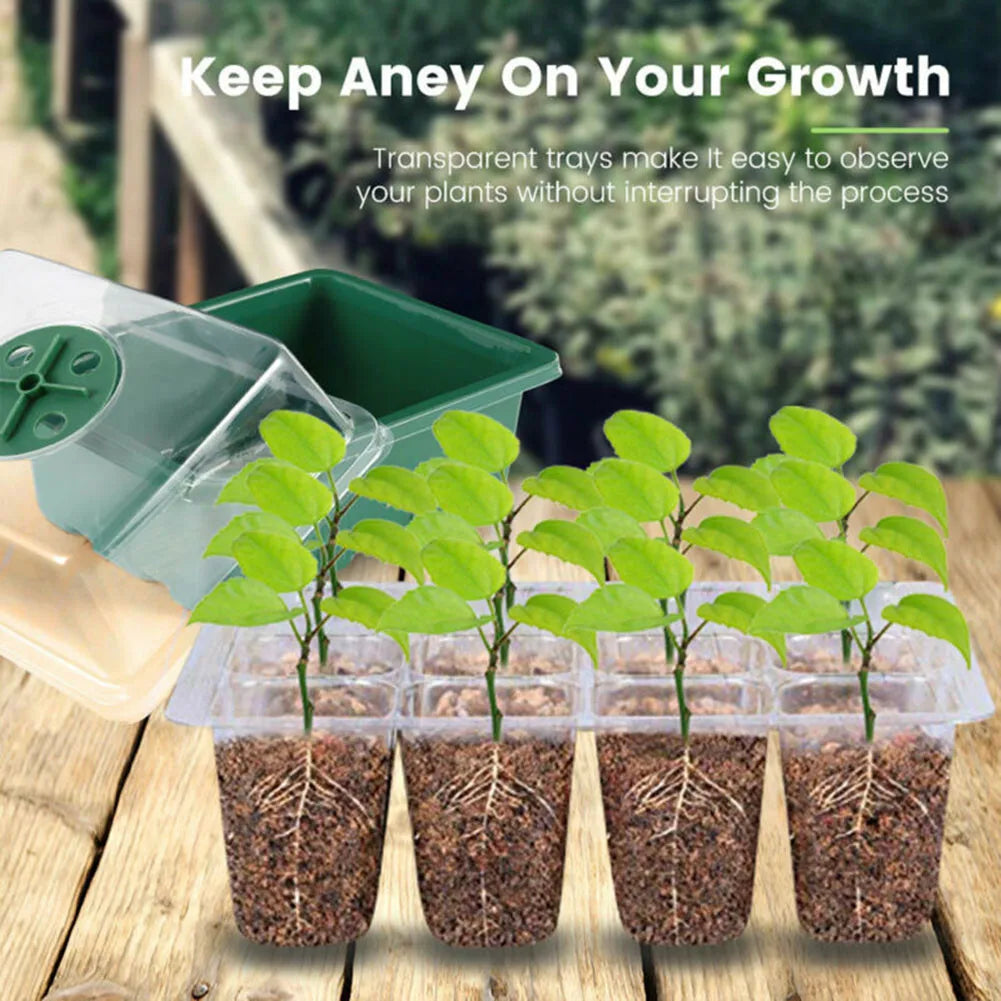 4Pcs Mini Greenhouse 12 Compartments Indoor Greenhouse Propagation Greenhouse Nursery Box With Air Vent