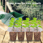 4Pcs Mini Greenhouse 12 Compartments Indoor Greenhouse Propagation Greenhouse Nursery Box With Air Vent